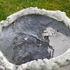 Darthome Limited Resin Shelf Sitting Head Plante -Décor Dreams Shop 100 f5c88dbe 8346 4959 be13 ef69f97eb536