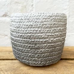 Darthome Limited Cement Two Tone Grey Planter -Décor Dreams Shop 10 99eba0e3 071f 4179 82e5 8edc193632f4