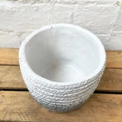 Darthome Limited Cement Two Tone Grey Planter -Décor Dreams Shop 11 f0d343cb c9bd 4822 8962 977bf9cc5006