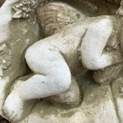 Darthome Limited Stone Cherub In Shell Garden Sculpture -Décor Dreams Shop 135 01910cbe dd79 442d b242 9f332f9dac72