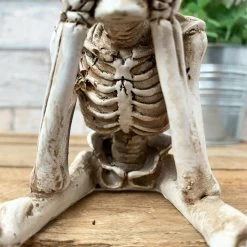Darthome Limited White See No Evil Skeleton Figurine -Décor Dreams Shop 16 3d55c238 4abc 4614 aed8 c6079548c96a