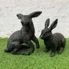 Darthome Limited Bronze Effect Resin Sitting Hare Outdoor Garden Statues -Décor Dreams Shop 1 8eb2b04a 790e 49d2 b685 98c635ed7e7e