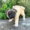 Darthome Limited Beige Resin Pug Dog Ornament