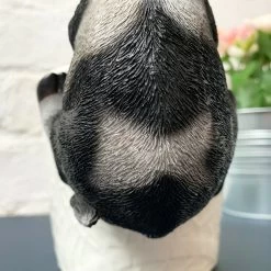 Darthome Limited Cow Pot Hanger -Décor Dreams Shop 22 3fc2e7d0 d303 4e4d bd14 30922996eab7