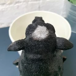 Darthome Limited Cow Pot Hanger -Décor Dreams Shop 23 8fc4542c ff70 4a45 b892 e60b8cb75070