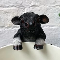 Darthome Limited Cow Pot Hanger -Décor Dreams Shop 25 f7556fd5 9ab4 4ff2 88c3 7308abbd8ec3