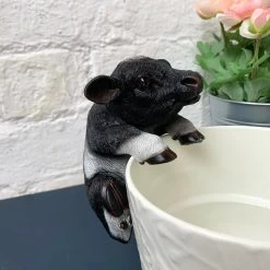 Darthome Limited Cow Pot Hanger -Décor Dreams Shop 26 8a8cc7fd c778 4368 9102 e4ef7ff49eb9