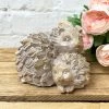 Darthome Limited Driftwood Hedgehog & Baby Ornament -Décor Dreams Shop 31 e3322865 4719 47b4 851c 24d5cd0c5a4c