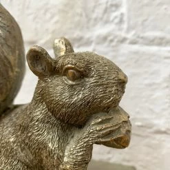 Darthome Limited Gold Resin Squirrel Bookend 10 Darthome Limited Gold Resin Squirrel Bookend -Décor Dreams Shop 33 d55db4f4 c3b7 4b6e 9352 30c9d1ee1a48