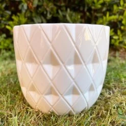 Darthome Limited Ceramic White Geometric Planter 13cm 9 Darthome Limited Ceramic White Geometric Planter 13cm -Décor Dreams Shop 45 3304fe3c 45cd 40b3 bb35 bbacd0d8fc41