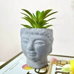 Darthome Limited Cement Buddha Head Succulent -Décor Dreams Shop 73 ea56c124 860c 4486 939f dc1b10cb88b0