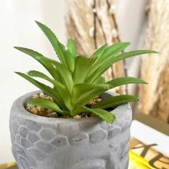 Darthome Limited Cement Buddha Head Succulent -Décor Dreams Shop 76 e7f8d35d 76d9 45be 8dc1 fa67787fa4ee