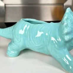 Darthome Limited Blue Ceramic Triceratops Succulent Planter 12 Darthome Limited Blue Ceramic Triceratops Succulent Planter -Décor Dreams Shop 7 97d5c582 87c9 4ba4 ba76 cae10e1d360d