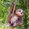 Darthome Limited Hanging Sloth Garden Ornament 60cm -Décor Dreams Shop IMG 0005copy