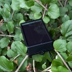 Darthome Limited 10 Chinese Lantern Outdoor Solar Lights -Décor Dreams Shop IMG 0036 JPEG