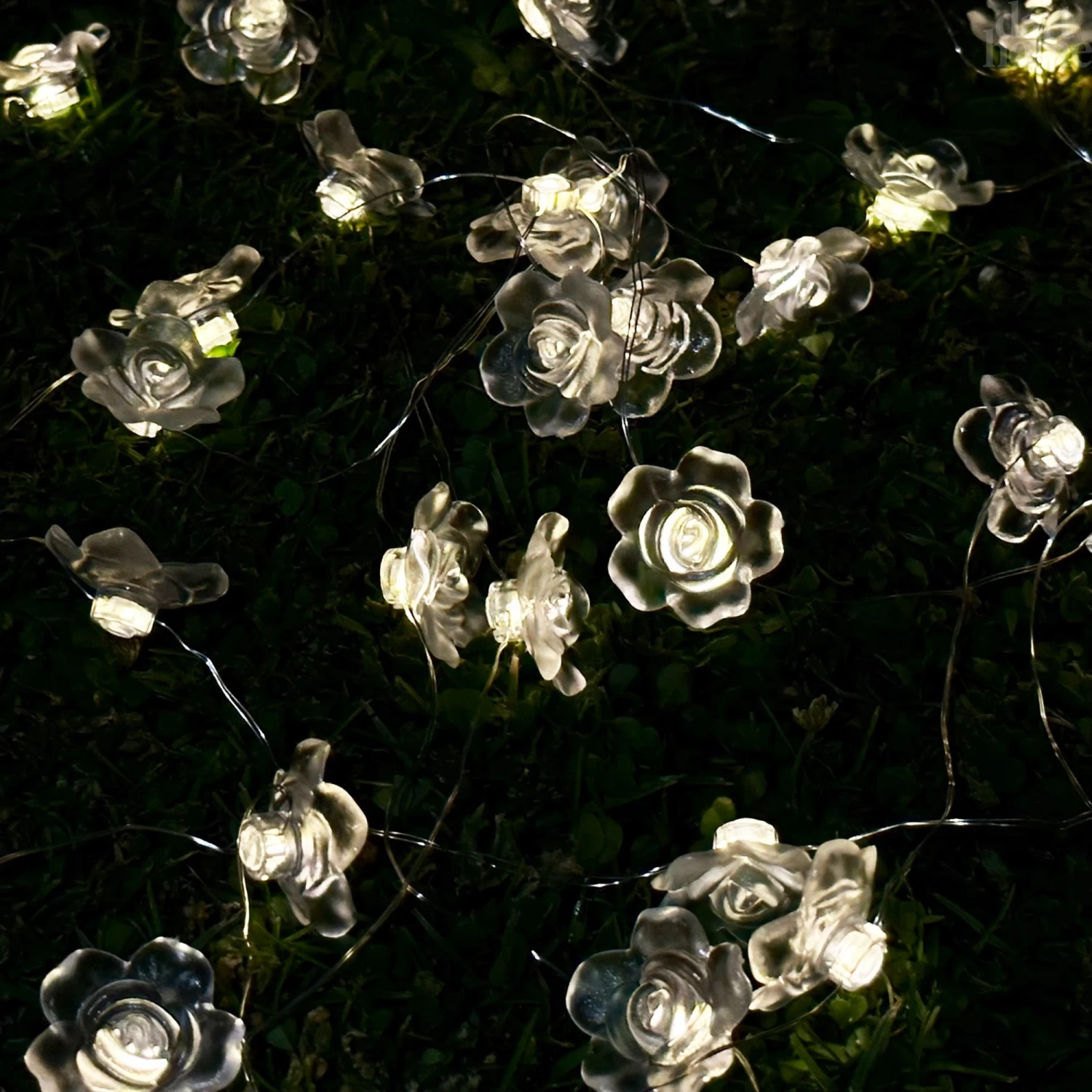 Darthome Limited 50 Solar Rose Flower Outdoor String Lights 3 Darthome Limited 50 Solar Rose Flower Outdoor String Lights