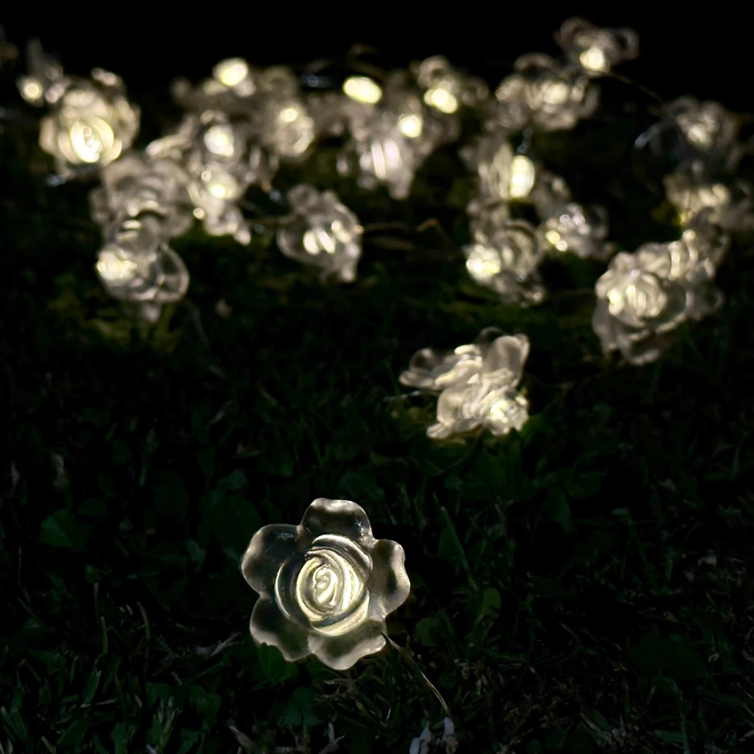 Darthome Limited 50 Solar Rose Flower Outdoor String Lights 5 Darthome Limited 50 Solar Rose Flower Outdoor String Lights - Image 3