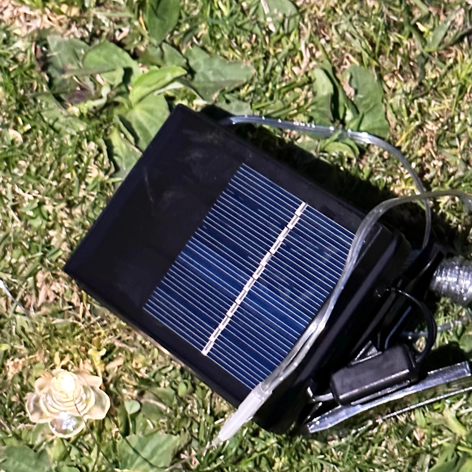 Darthome Limited 50 Solar Rose Flower Outdoor String Lights 6 Darthome Limited 50 Solar Rose Flower Outdoor String Lights - Image 4