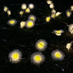 Darthome Limited 50 Solar Daisy Flower Outdoor String Lights -Décor Dreams Shop IMG 0095