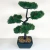 Darthome Limited Artificial Bonsai Tree Plant In Black Pot B -Décor Dreams Shop IMG 1152copyx2