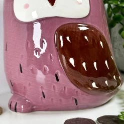 Darthome Limited Ceramic Owl Money Box 13 Darthome Limited Ceramic Owl Money Box -Décor Dreams Shop IMG 5647 JPEG