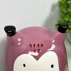 Darthome Limited Ceramic Owl Money Box 14 Darthome Limited Ceramic Owl Money Box -Décor Dreams Shop IMG 5648 JPEG