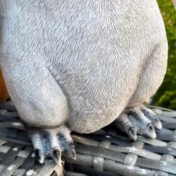 Darthome Limited Cute Squawking Penguin Sculpture -Décor Dreams Shop IMG 5753 JPEG