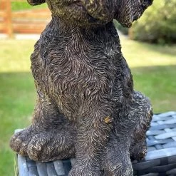 Darthome Limited Gold Cockapoo Dog Figure -Décor Dreams Shop IMG 6779.JPEG edited66