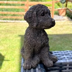 Darthome Limited Gold Cockapoo Dog Figure -Décor Dreams Shop IMG 6782.JPEG edited69