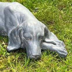 Darthome Limited Large Grey Content Dog Sculpture -Décor Dreams Shop IMG 8081 JPEG eca003a7 ce92 4980 818a 9912287271fb
