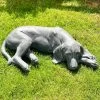 Darthome Limited Large Grey Content Dog Sculpture