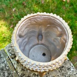 Darthome Limited Gold Multi Buddha Head Planter -Décor Dreams Shop IMG 8893 JPEG