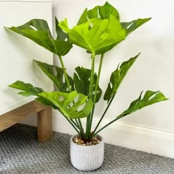 Darthome Limited Artificial Monstera Swiss Cheese Plant