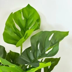 Darthome Limited Artificial Monstera Swiss Cheese Plant -Décor Dreams Shop IMG 8994 JPEG