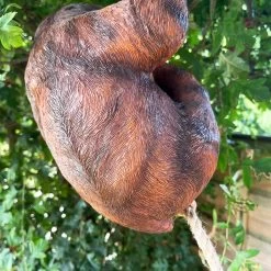 Darthome Limited Hanging Sloth Garden Ornament 60cm -Décor Dreams Shop IMG E0010 editedG