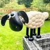 Darthome Limited Metal Timmy The Sheep Sculpture 1 Darthome Limited Metal Timmy The Sheep Sculpture -Décor Dreams Shop IMG E0126 editedO