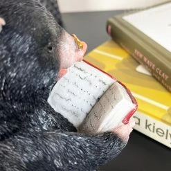 Darthome Limited Black Reading Mole Bookends 16 Darthome Limited Black Reading Mole Bookends -Décor Dreams Shop IMG E0140 editedAA