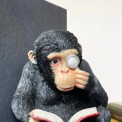 Darthome Limited Black Reading Monkey Bookends 13 Darthome Limited Black Reading Monkey Bookends -Décor Dreams Shop IMG E0148 editedAI