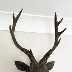 Darthome Limited Faux Brown Stags Head Wall Bust 47cm -Décor Dreams Shop IMG E0800