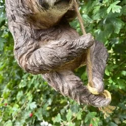 Darthome Limited Resin Hanging Sloth Garden Ornament -Décor Dreams Shop IMG E1069