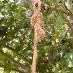 Darthome Limited Resin Hanging Sloth Garden Ornament -Décor Dreams Shop IMG E1072