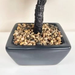 Darthome Limited Artificial Bonsai Tree Plant In Black Pot B 7 Darthome Limited Artificial Bonsai Tree Plant In Black Pot B -Décor Dreams Shop IMG E1154 edited40