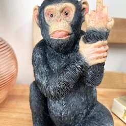 Darthome Limited Black Up Yours Monkey Ornament 11x19x11cm -Décor Dreams Shop IMG E1272