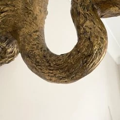 Darthome Limited Gold Ostrich Wall Decoration -Décor Dreams Shop IMG E1345