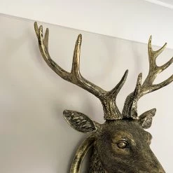 Darthome Limited Antique Gold Stag Wall Head Large -Décor Dreams Shop IMG E1353