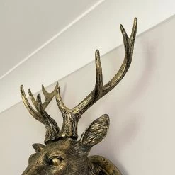 Darthome Limited Antique Gold Stag Wall Head Large -Décor Dreams Shop IMG E1354
