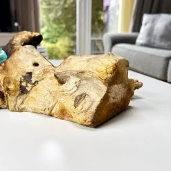 Darthome Limited Molten Glass Double Candle Holder On Teak Root Stand 17 Darthome Limited Molten Glass Double Candle Holder On Teak Root Stand -Décor Dreams Shop IMG E1430