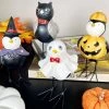 Darthome Limited Fancy Dress Halloween Bird Figurines Set Of 4 -Décor Dreams Shop IMG E1571