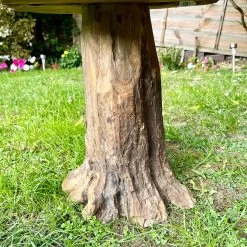 Darthome Limited Tall Teak Root Mushroom Sculpture 42cm -Décor Dreams Shop IMG E1591