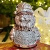 Darthome Limited Silver Sparkle Santa Claus Ornament